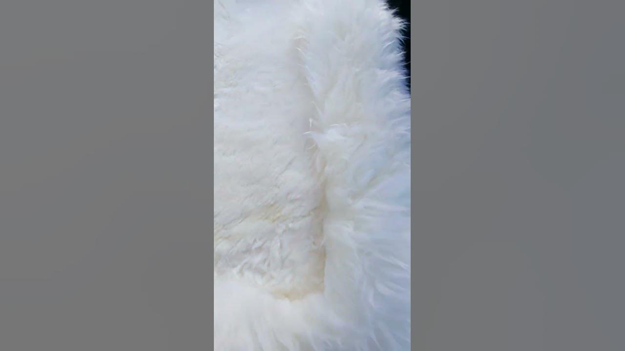 Натуральная меховая накидка на заднее сиденье, комбинированный ворс ...