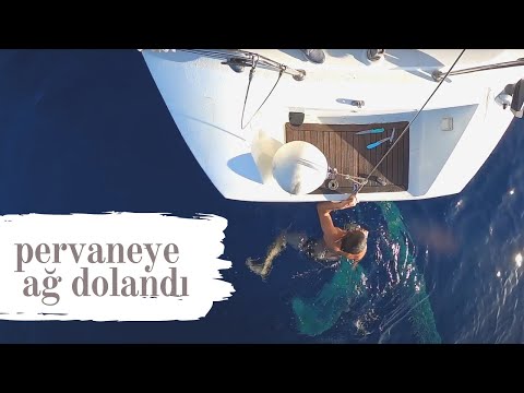 Pervaneye Ağ Dolandı - Karantina Günlükleri 4 - Yelkenli Teknede Yaşam - - Sezon 1 Bölüm 4