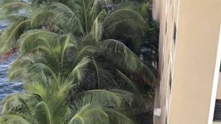 IMG 0087