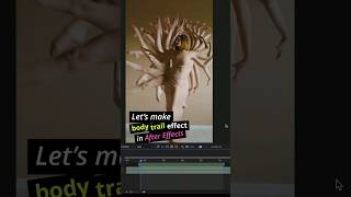 How To Make Body Trail Dancing Echo Effect In Ae.