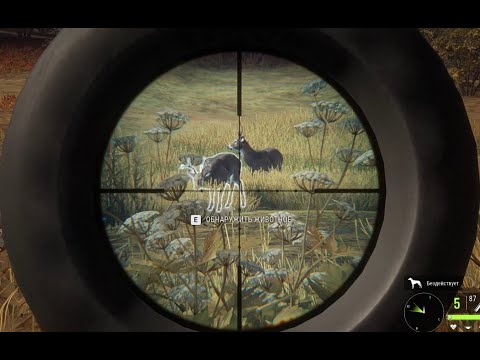 Видео: theHunter  Call of the Wild Хотел сделать дубль. Получилось?