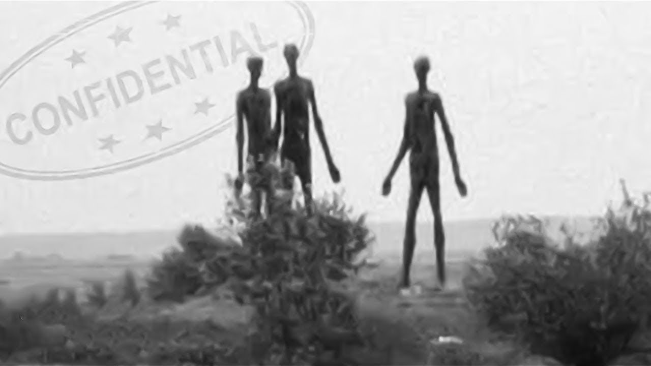 La Nasa Revela Imágenes De Vida Extraterrestre 😨