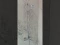 Bathroom Shower Installation #interiordesign #bathroom #construction #homedecor