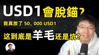 我把 5 萬 Usd1 放進幣安活期拿 年化20%這到底是羊毛還是坑