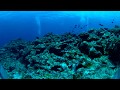 RICOH THETA V - 4K movie sample (Underwater)