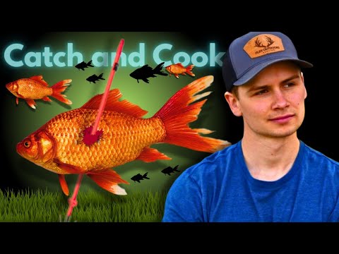 Can You Eat Goldfish!? Invasive Goldfish Bowfishing (CATCH AND COOK ...