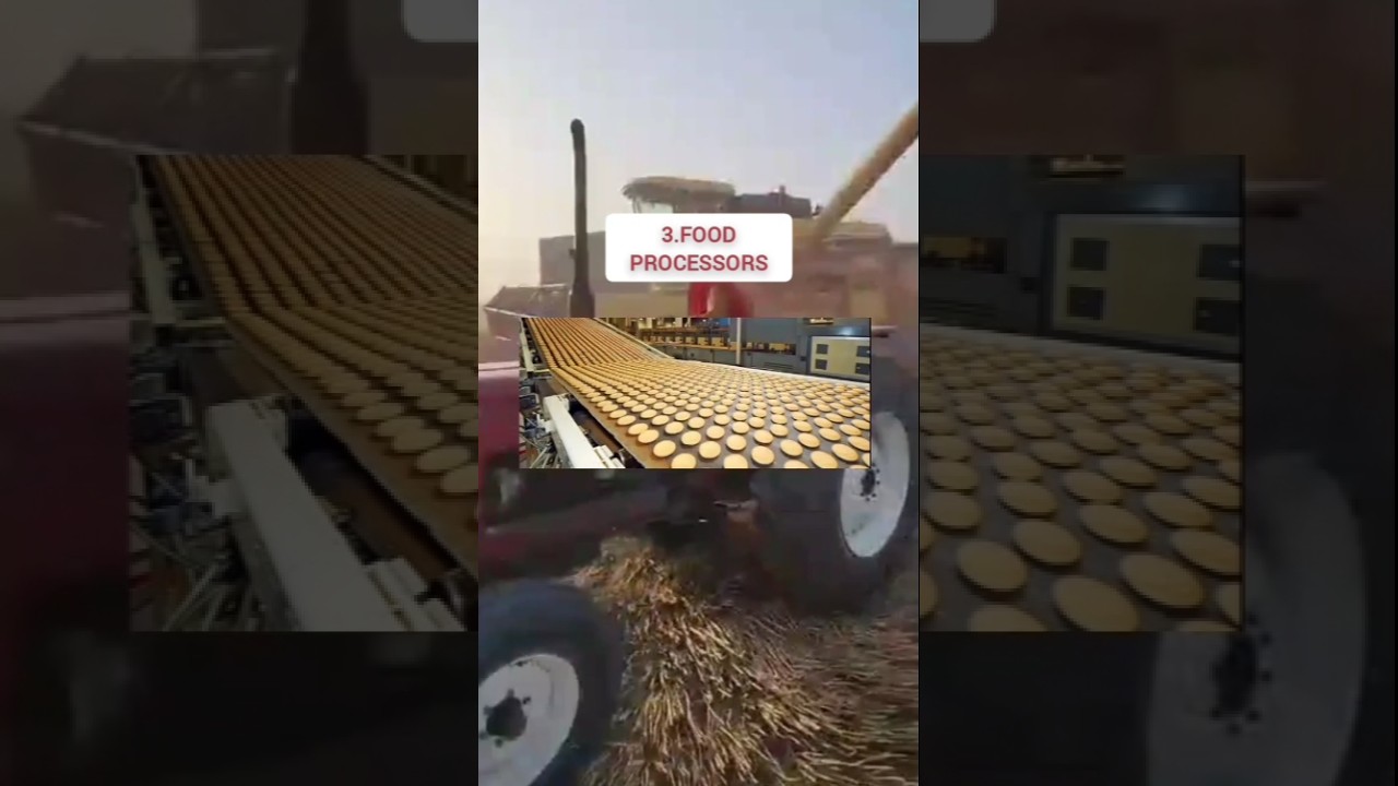 Wheat in Pakistan | Passco