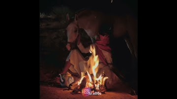 راحة نفسية🎧💛سورة الاخلاص ماهر المعيقلي 😴💙