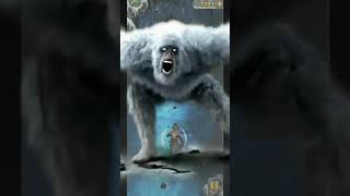 Pola Bear Attack🤪 - Temple Run 2 - Frozen Shadows #RunTempleRun #polabear