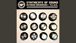 Synthicate Of Sound