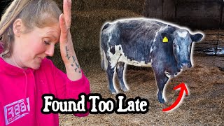 We didn't Expect This Happening....😢