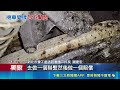 直擊新北修路變毀車！整排機車慘遭柏油狂噴面目全非 車主怒轟放管｜記者蕭羽秀 顧元松｜三立新聞LIVE