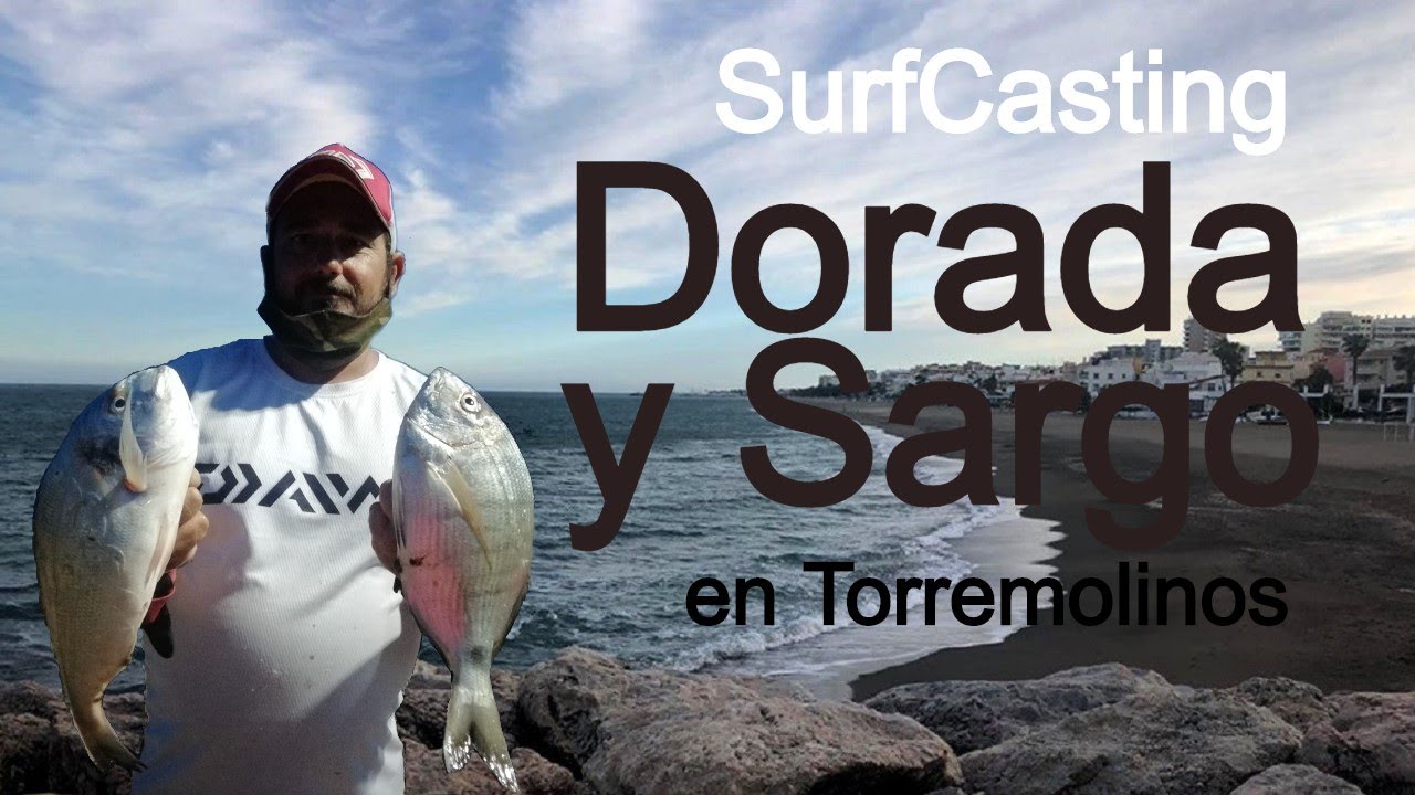 SurfCasting  Dorada y sargo, en Torremolinos