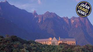 Yakushima Iwasaki Hotel | Yakushima, Japan | Hotel Review ⭐ | Japan Travel Homes