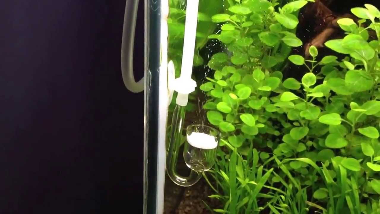 Soda stream co2 setup YouTube