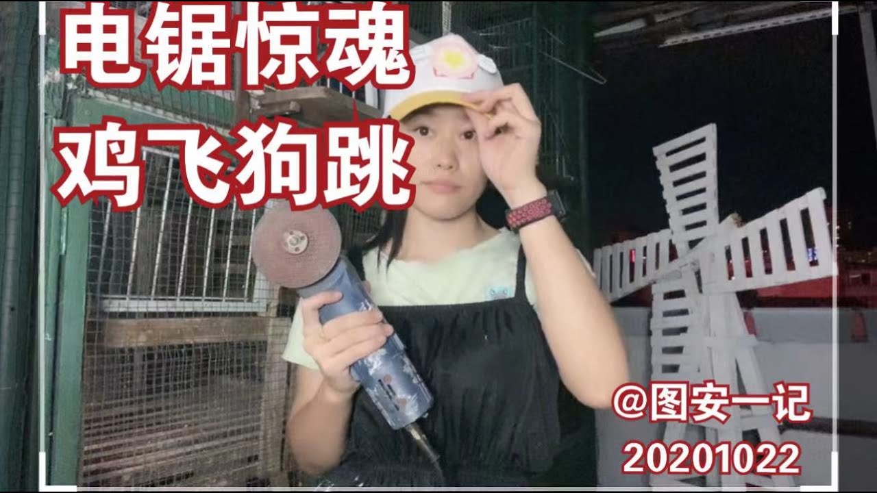 图安一记 电锯惊魂鸡飞狗跳不会做木工的园丁养不好鸡 Making Rotary Doors For My Chicken House Chinese And English