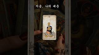 소름돋게 맞추는 타로카드 운세! 나에게 들어올 대운! 놀라운 타로카드의 예언! 당신에게 곧 생길일! 신비한 …