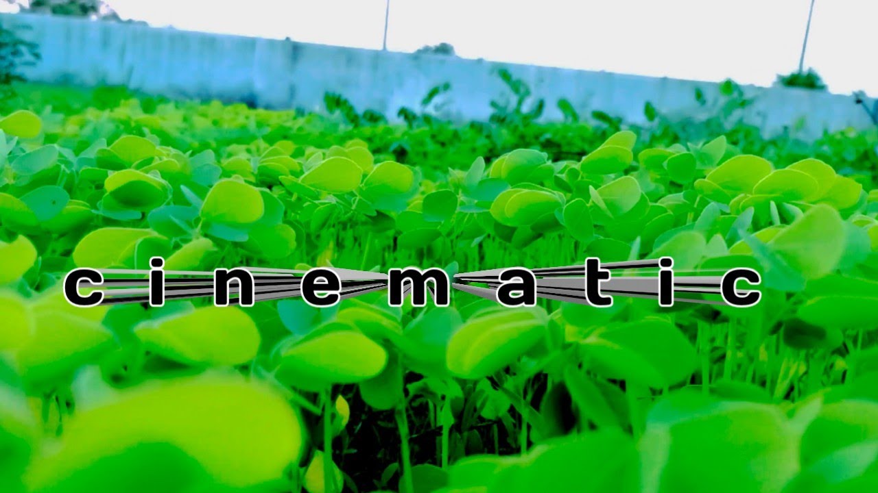 cinematic video idea YouTube