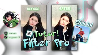 INI YG KALIAN CARI!! Filter CapCut Efek Pro