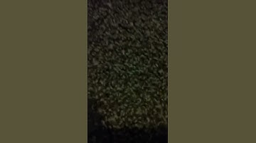 First video random stuff