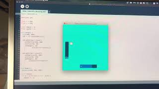 Celebrity Processing controlP5, bouncing ball Net Worth