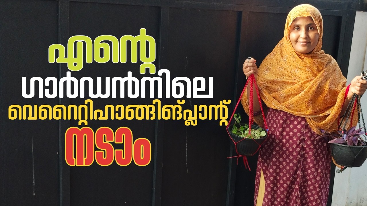 വീട് നിറയെ ഹാങ്ങിങ് പ്ലാന്റ് ആക്കിയാലോ |hangingplants poting |Mastermidha|Homegardenideas