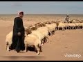 من أغاني المطر ياام الغيث غيثينا تراث فراتي ألحان فواز الحسن 