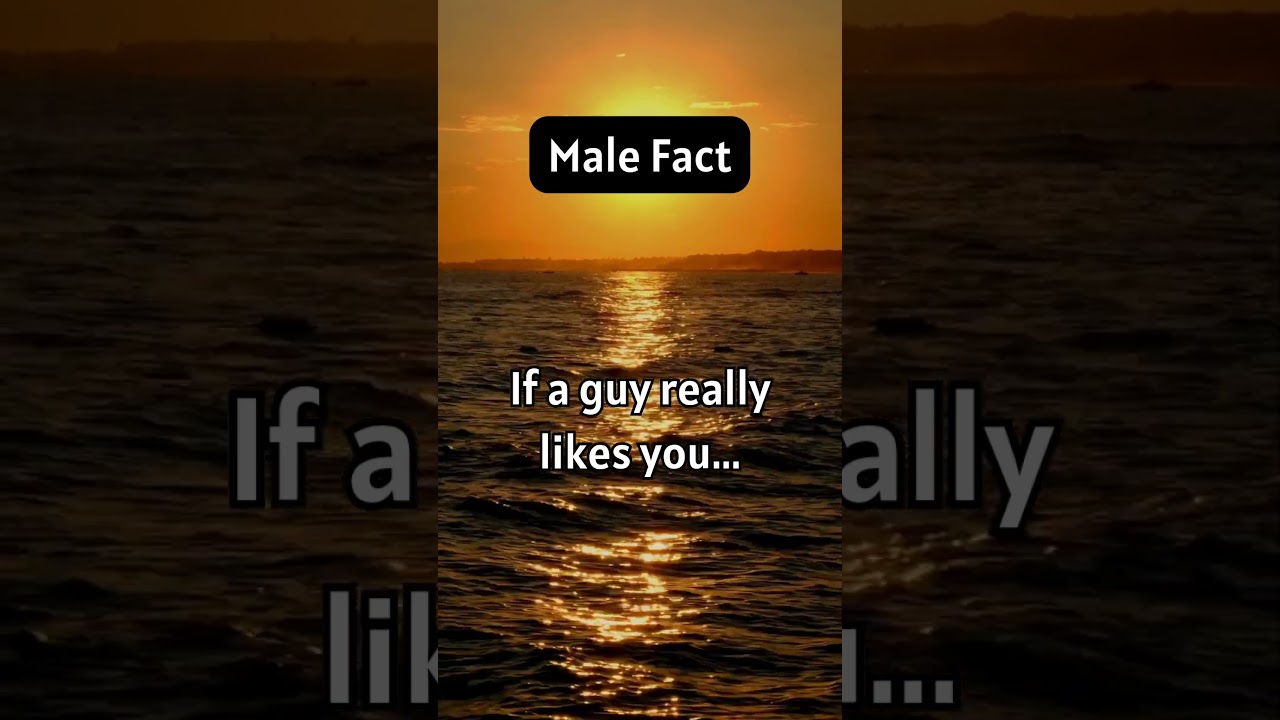 Male Fact  