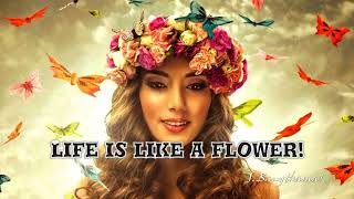 Life is like a flower! (HD720p)