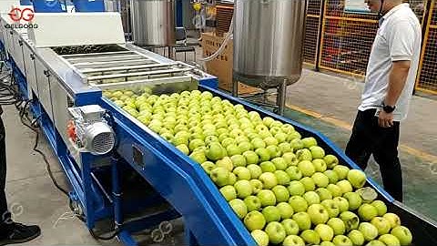 Industrial Use Citrus Fruit Washing Waxing Machine