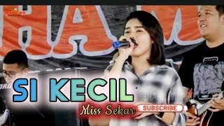 SI KECIL | NUHA MUSIC | VOC : MISS SEKAR |  EDISI CEKSOUND 15-06-2023 | SHAPA WG CHANNEL