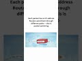 Network Protocols #coder #education #shorts #network #protocol #programming