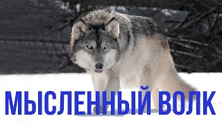 Смысловые Галлюцинации. Сергей Бобунец. "Мысленный волк" (cover) Смысловые Галлюцинации. Сергей Бобунец. "Мысленный волк" (cover)