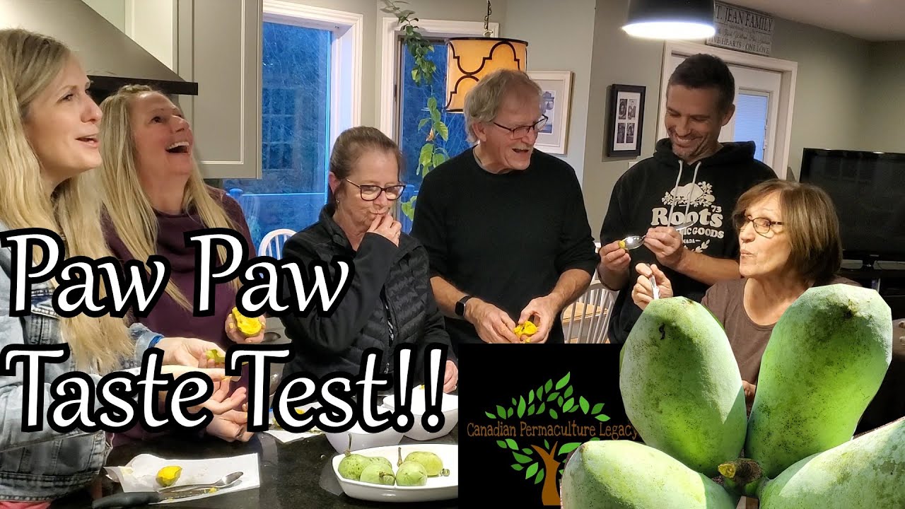 Дегустация «Пау-Пау»