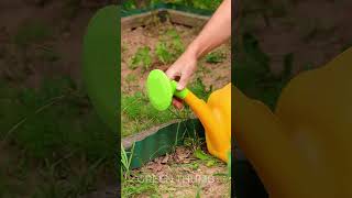 Quick and genius gardening routine tips will save your plants, will your time!
