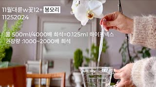 식물영양제 쇼핑 3템ㅣ선택, 적용,  효과(p.1)ㅣ호접난 꽃보기 l Plant Nutrients #메네델 #하이포넥스