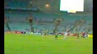 Andrew Johns playing Cricket
