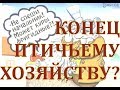 Конец птичьего хозяйства?// Новости планы