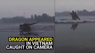 Dragon in real life appeared in Vietnam, caught on camera