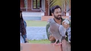 Mandara mandara song WhatsApp status