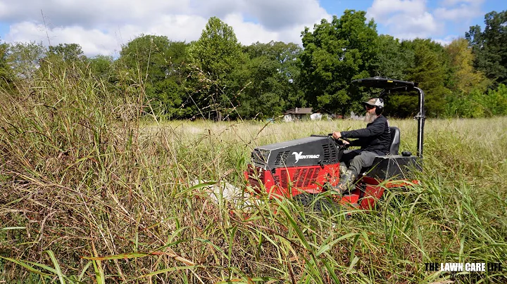 Did This SNAKE INFESTED Property Keep them from BALING the HAY?  I'll Clean it UP!