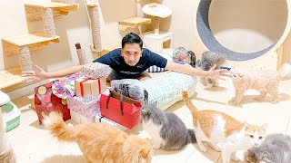 UNBOXING KADO BERSAMA KUCING KUCING