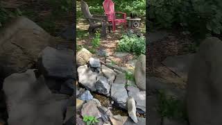 My garden pond oasis