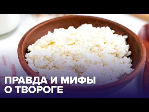 Мифы и правда о ТВОРОГЕ: так ли уж он полезен?