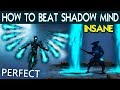 Shadow Fight 3. Defeat Shadow Mind with PERFECT on INSANE. Tactics and Best Shadow Abilities.