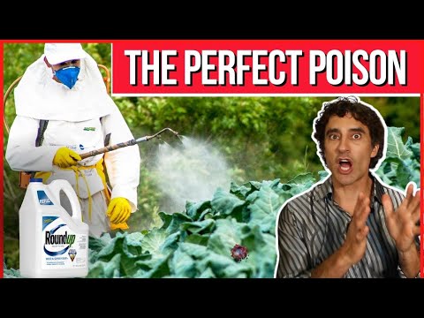 Vidéo: L'arsenic tuera-t-il les plantes ?