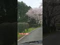 ふたり咲き#北島三郎