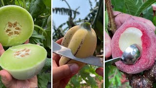 Farm Fresh Ninja Fruit Cutting | Oddly Satisfying Fruit Ninja #24