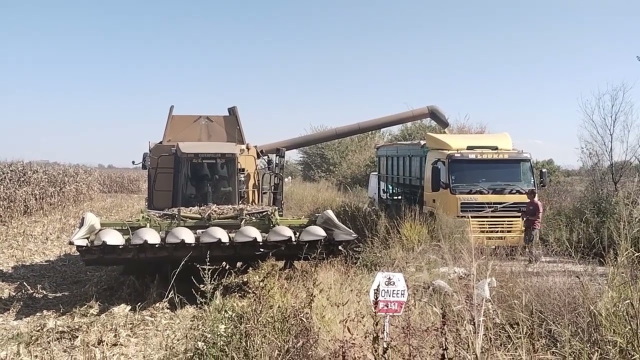 CAT LEXION 460-Αλωνισμος καλαμποκιου