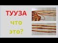 Тууза - что это? Бурятский костюм.